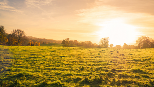 Sun setting across a field