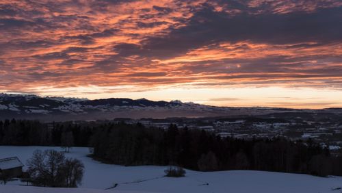 Winter sunset