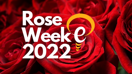 Rose Week 2022 on background of red roses