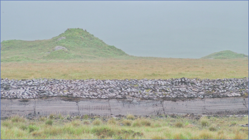 Picture of turf on a bogside