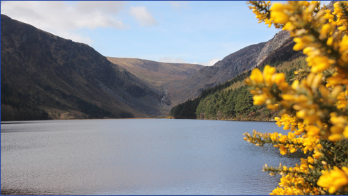 Serene lake with tree to foreground