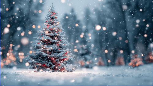 Christmas Tree and snow