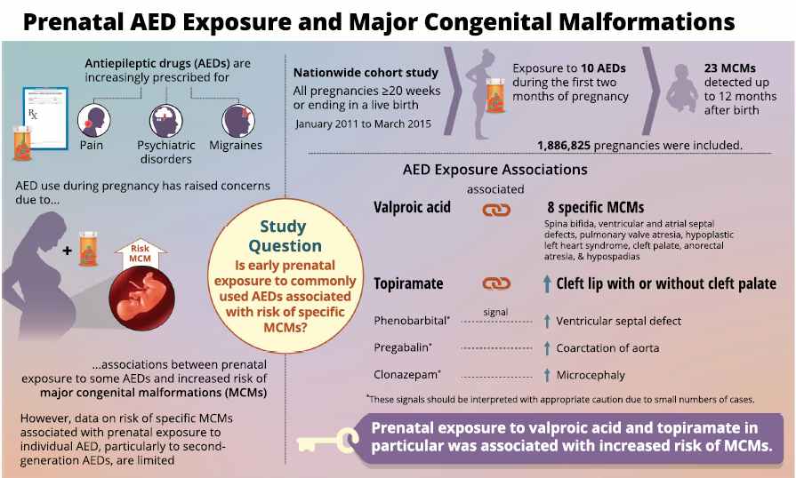 gabapentin in pregnancy risk