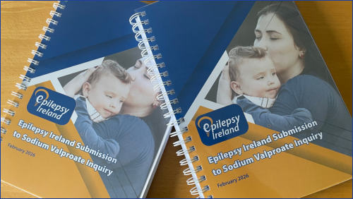 Picture of Epilepsy Ireland's SV inquiry submission. 