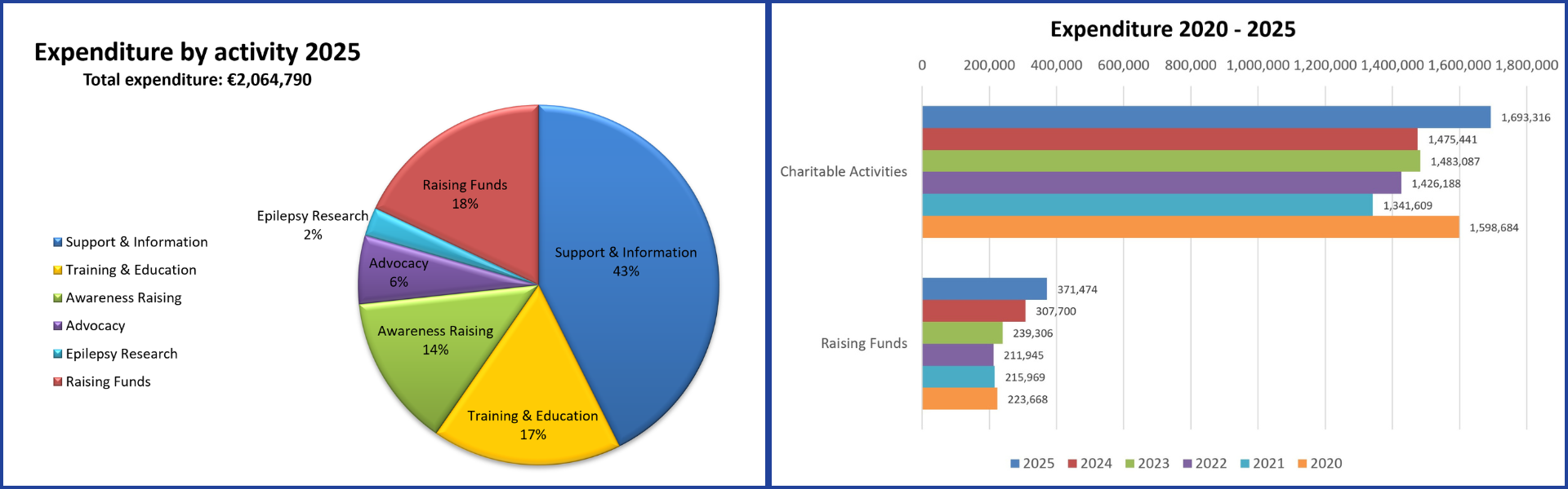 Pie Chart and bar chart showing income/expenditure by activity