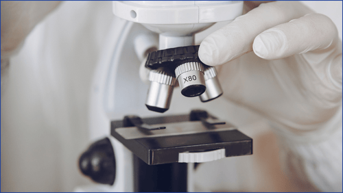Microscope