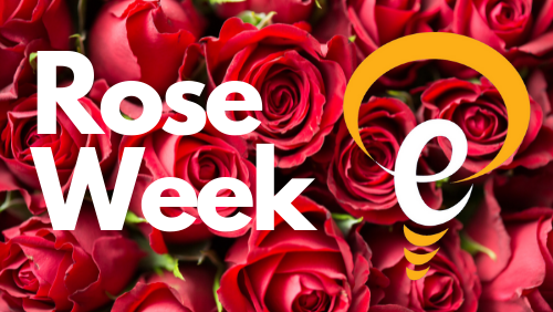 Rose Week written in white with white Epilepsy Ireland logo across a background of red roses