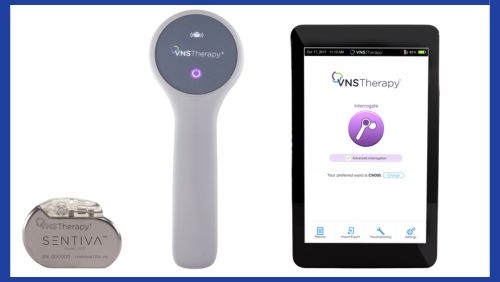 Key components of VNS - VNS device, magnet and app