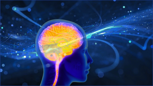 Magnified image of a person's brain showing genetic strains