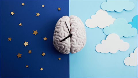 A brain with hour and minute hands on it with background depicting day/night