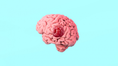 brain with raspberry inside - depicting a Cavernoma