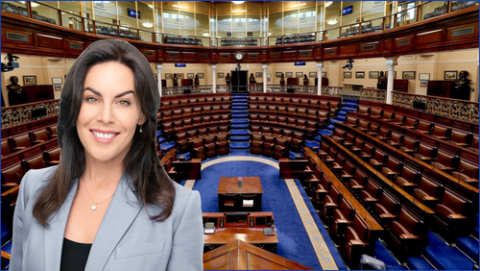 Jennifer Carroll MacNeil in front of Dáíl chamber