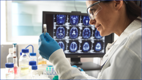 Researcher working on a project