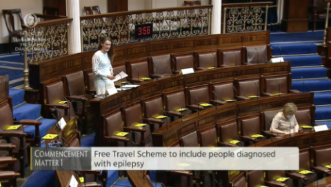 Senator Erin McGreehan speaking in the Seanad