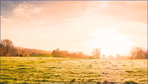 Suns shining across field
